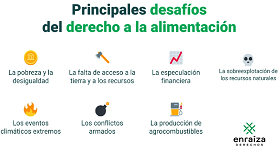 Gráfico sobre algunos de los principales desafíos para el derecho a la allimentación