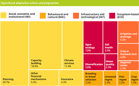 Gráfico sobre medidas de adaptación al cambio climático