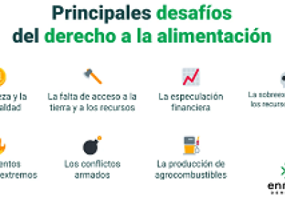 Gráfico sobre algunos de los principales desafíos para el derecho a la allimentación