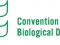 Logotipo de la convención sobre diversidad biológica