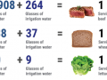 Gráfico sobre consumo de agua implícito en determinados alimentos