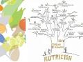 Ilustración tomada de los recursos educativos sobre nutrición