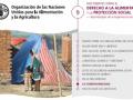 Ficha del 9º debate sobre derecho a la alimentación y protección social