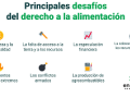 Gráfico sobre algunos de los principales desafíos para el derecho a la allimentación