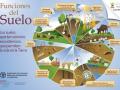 Imagen de una de las infografías de la FAO sobre el año internacional de los suelos