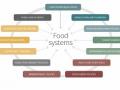 Factores que inciden en los sistemas alimentarios