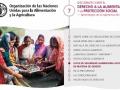 Ficha del debate 7 sobre derecho alimentación y protección social