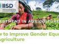 Detalle de la portada del informe How to improve gender in agriculture