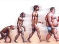 Imagen de la evolución hacia seres humanos obesos