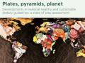 Portada del informe de FAO titulado "Platos, pirámides, planeta"