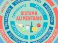infografía sobre sistemas alimentarios