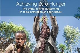 Portada del informe Achieving Zero Hunger