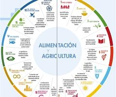 Gráfico agricultura y ODS