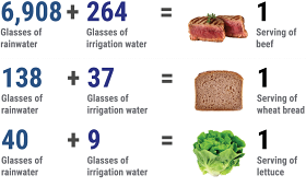 Gráfico sobre consumo de agua implícito en determinados alimentos