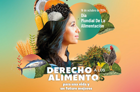 portada del folleto sobre el día mundial de la alimentación 2024