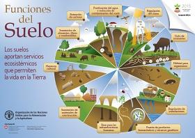 Imagen de una de las infografías de la FAO sobre el año internacional de los suelos