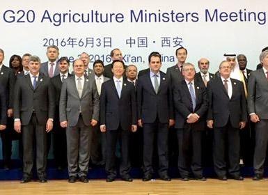 Reunión de ministros de Agricultura del G20 en China