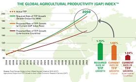 Gráfico del informe sobre el GAP de productividad agrícola