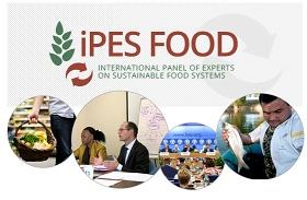 Logotipo de IPES FOOD, panel internacional de expertos sobre sistemas alimentarios sostenibles
