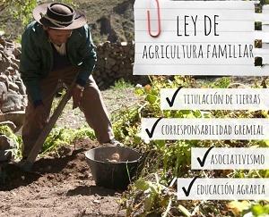 Aprobación de una ley de agricultura familiar en Argentina
