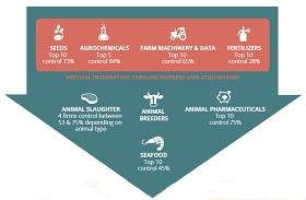 Gráfico sobre las megafusiones en el sector agroalimentario