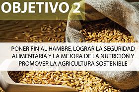 Descripción del objetivo de desarrollo sostenible 2, sobre hambre y malnutrición