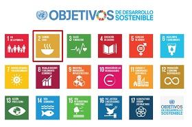 Imagen de los Objetivos de Desarrollo Sostenible