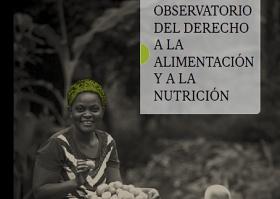 Portada del Observatorio del Derecho a la Alimentación y Nutrición 2015