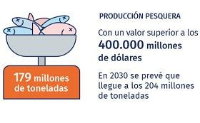 detalle de infografía sobre importancia de la pesca