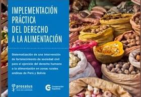 Portada del documento de sistematización de experiencia realizado por Prosalus y sus socias locales