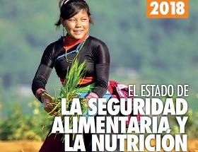 Detalle de la portada del informe SOFI 2018