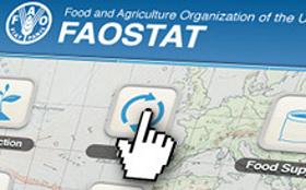 imagen base de datos de FAO