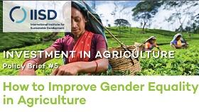 Detalle de la portada del informe How to improve gender in agriculture