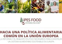 detalle de la portada del informe