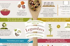 Imagen de la infografía publicada por FAO sobre las legumbres