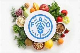Logotipo de la FAO