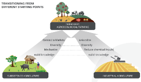Transición de sistemas agroindustriales a sistemas agroecológicos