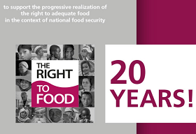 Banner del 20º aniversario de las directrices voluntarias del derecho a la alimentación