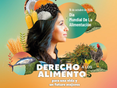 portada del folleto sobre el día mundial de la alimentación 2024