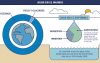 Infografía sobre el agua disponible en el mundo