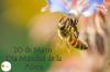 Cartel día munidal de las abejas