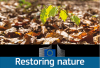 Ley europea de restauración de la naturaleza